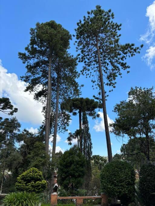 Charme E Conforto Na Montanha - Campos Do Jordao Proximo Ao Centro Εξωτερικό φωτογραφία